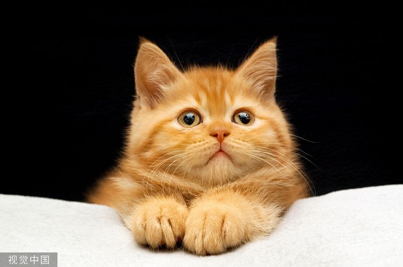 1678083774475244.jpg e1d4afa6a6743c561c5063d7c1c45a84u5.jpg