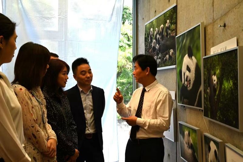 5在國內外舉辦大熊貓攝影展（部分）.jpg