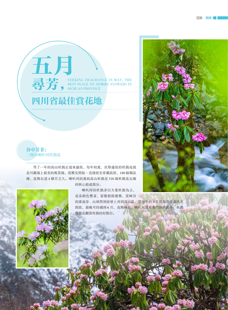 亚旅周刊第52期(3)_42.png