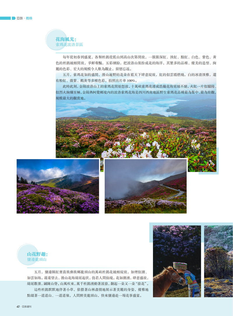 亚旅周刊第52期(3)_43.png