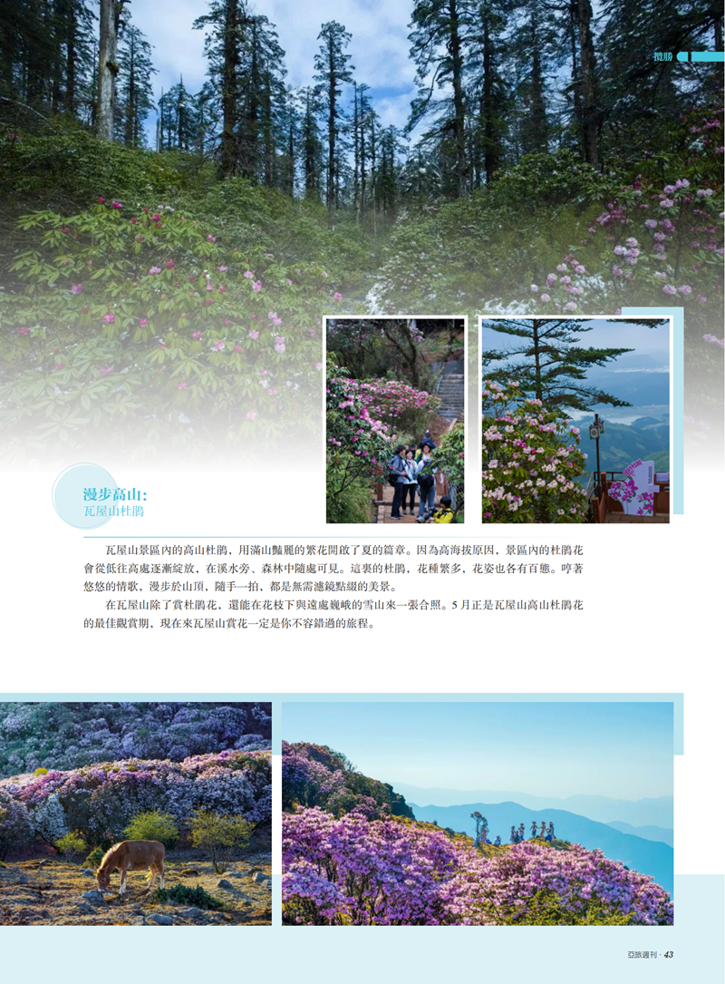 亚旅周刊第52期(3)_44.png