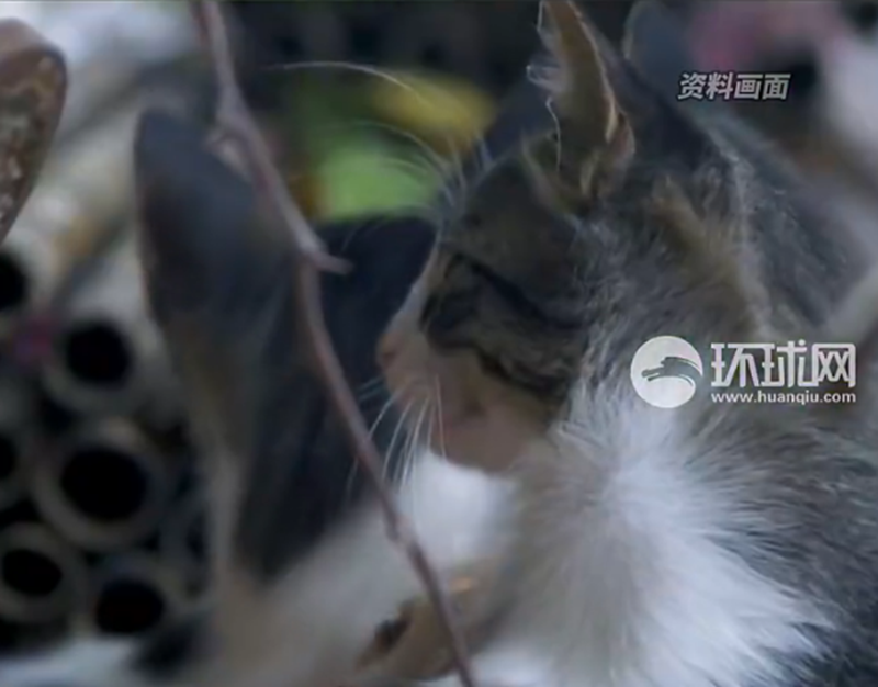 微信图片_20230714141842.png