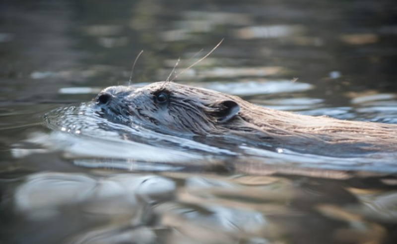 1689316417994204.png 6416c43ce1dffc14e47481996734ac90u1.png