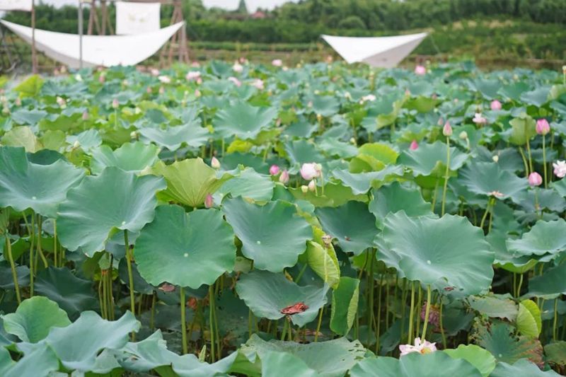 1691129102731227.jpg 640 (1).jpg