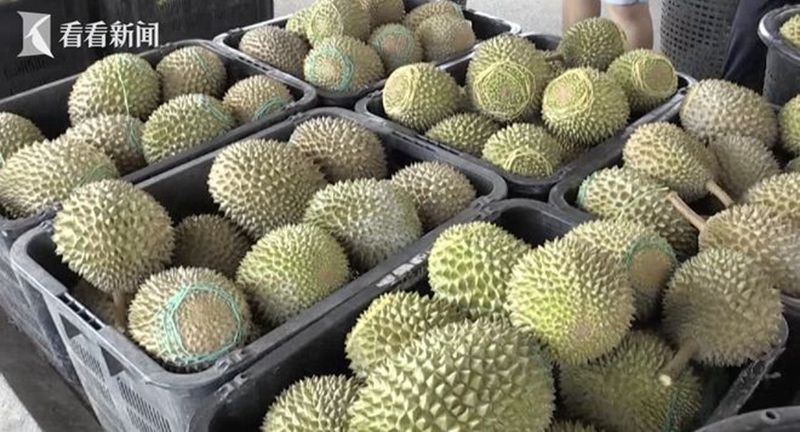 1694764816882557.jpg 202309155744f3f79f19.jpg