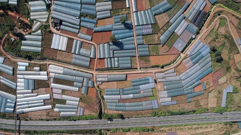 1698897846663549.jpg 640 (1).jpg