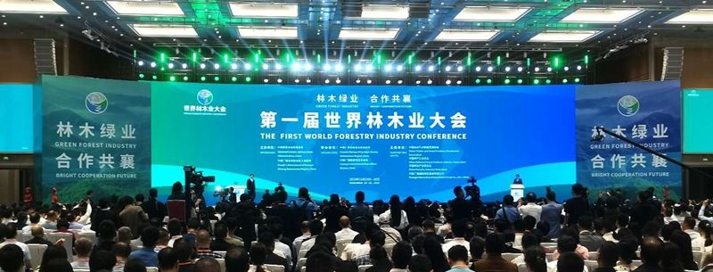 1701141451732421.jpg f48.jpg