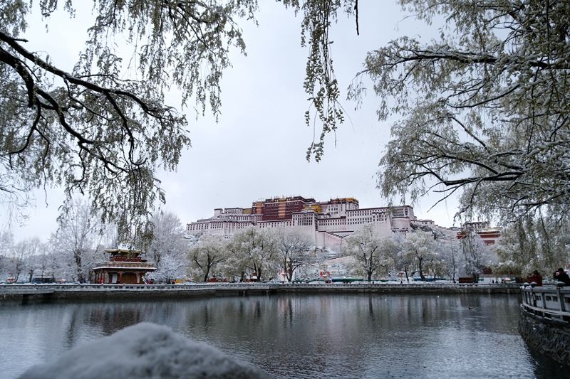 受降雪影響　西藏布達拉宮18日暫停對外開放
