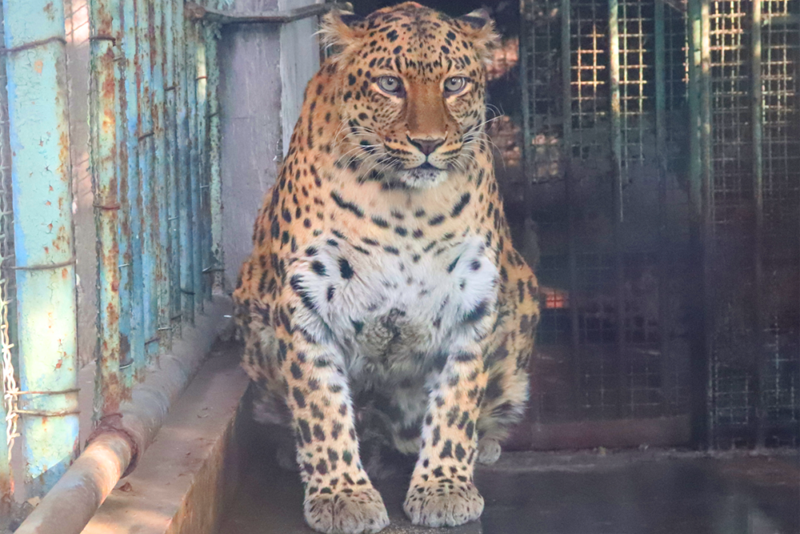 熱度持續上升 攀枝花動物園確實有點兒“東西”