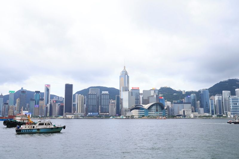 1709619124860673.jpeg 202403055963af906d0c.jpeg