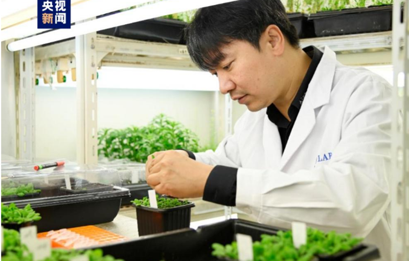 1716971302957714.png 9600669a91163dce228ee570a1786bb.png