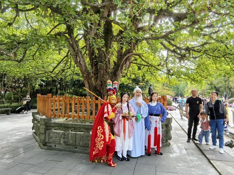 图片11.jpg