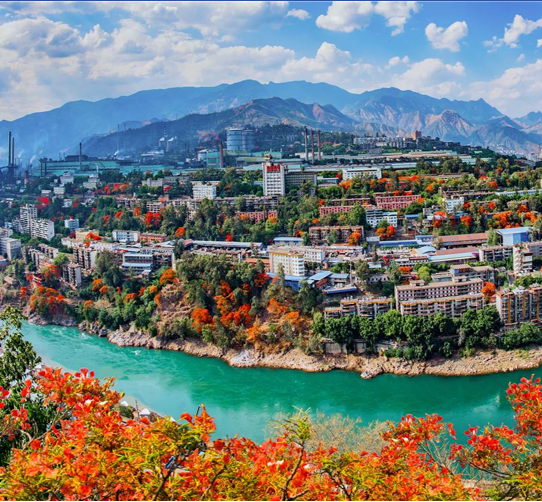 1733299817148805.png DA20139DD49A95BE2B05FC1A569ACFE56AAE9B75_size639_w542_h502.png