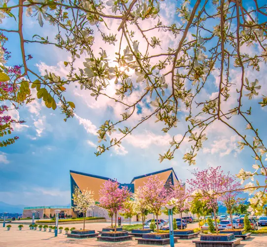 1733299859660870.jpg DC36998DA1F648D89316FB58A087E42BD9BEF96C_size626_w542_h502.jpg