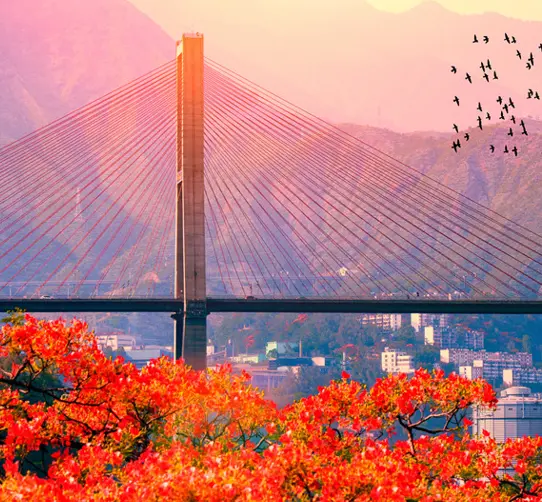 1733299900563017.jpg 62A2599CB5F42F299EB64108EF8DFFCBF50B4437_size602_w542_h502.jpg