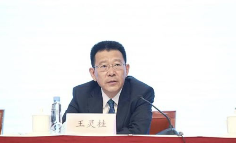 中央決定：王靈桂任中國僑聯黨組書記