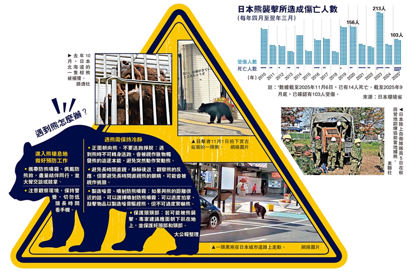 14死逾百人傷　日本熊害頻發　民眾怒轟政府