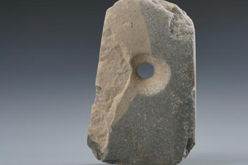 陝西發現一處距今4000多年大型倉儲遺址