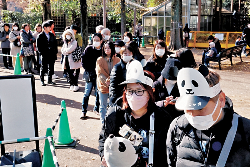 熊貓歸華倒計時　日民眾含淚道別