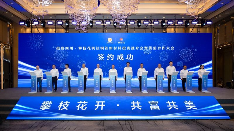 王东摄影 (12).jpg
