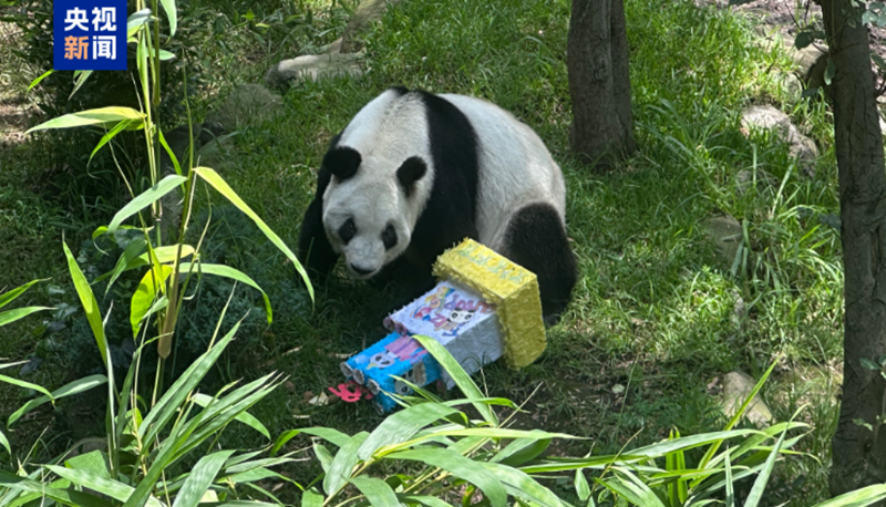 微信图片_20250630151329.png
