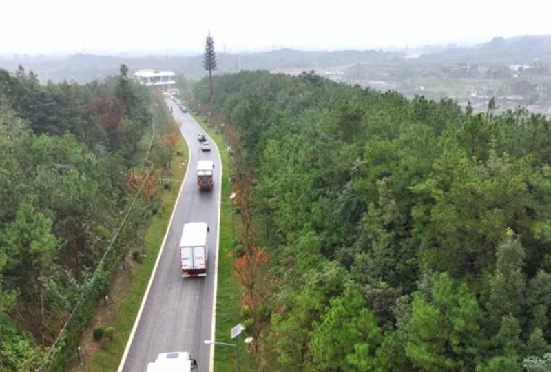 1762330294737926.jpg 6bd51d986a8741cd939d1240cb36ee81.jpg