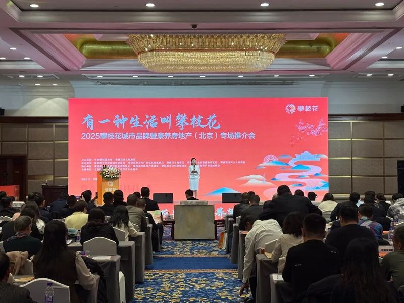 1763038727735284.jpg 1.jpg