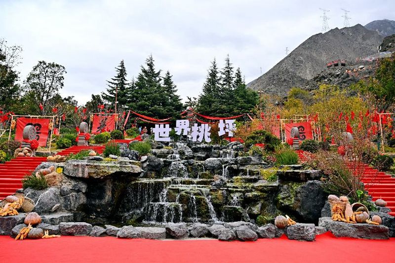 1763539524991211.jpg LOCAL17634684834726EADQT8VVN (1).jpg