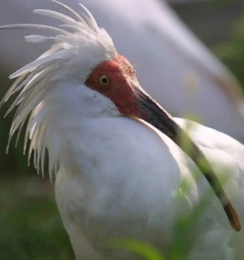 1764651041512416.png 微信图片_20251202124957_130_15.png