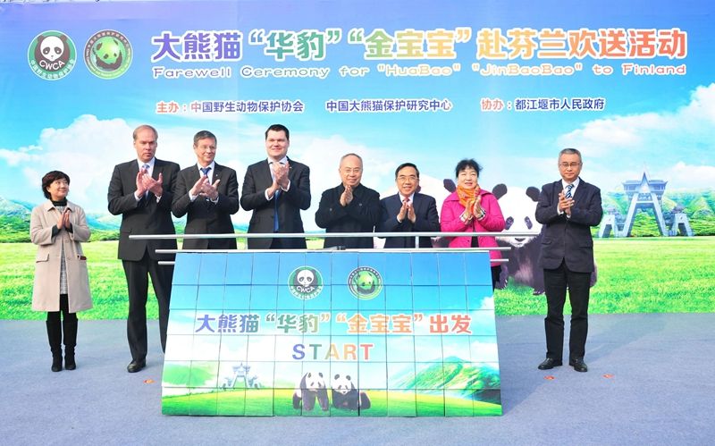 1764728824130271.jpg 3.jpg