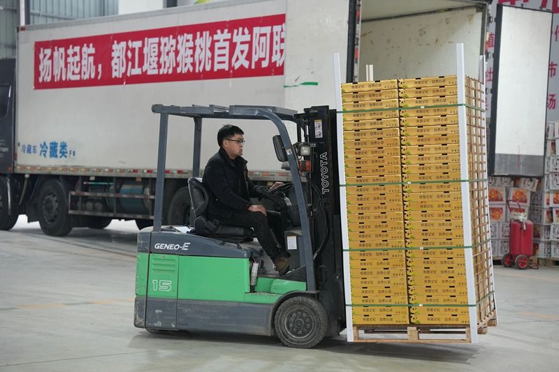 1764728954704514.jpg 15.jpg