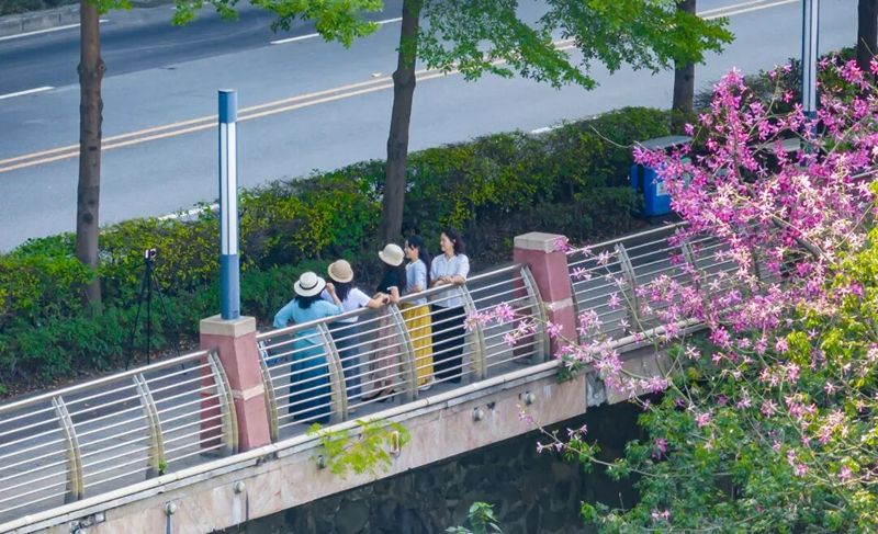 1765283901851370.jpg 4.jpg