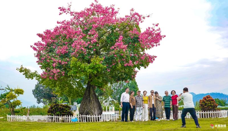 1765283912736596.jpg 5.jpg