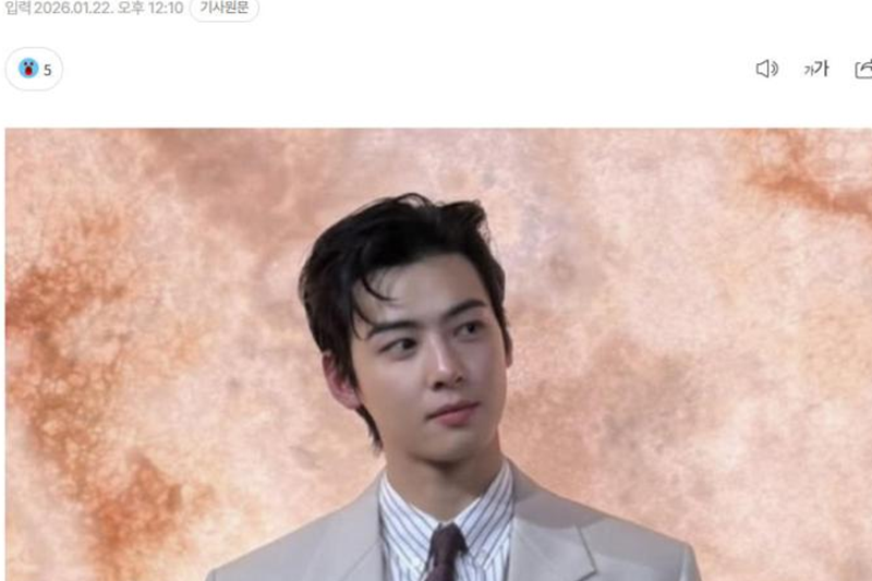 韓媒：韓國明星車銀優涉嫌逃稅200億韓元