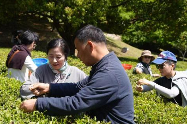 “茶和天下·雅集”中韓茶文化交流會在韓國舉辦