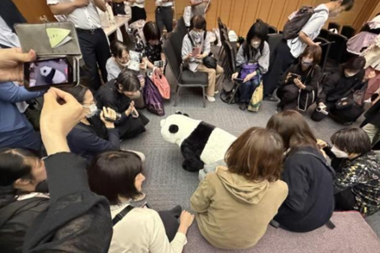 大熊貓“香香”家族生日會在東京舉辦