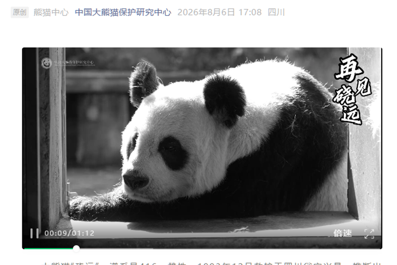 中國大熊貓“磽遠”因病死亡