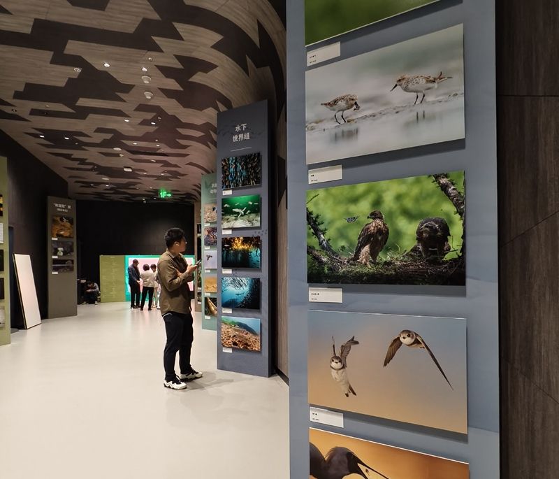 1768368461105504.jpg 6965fec5e4b08c07fcc5841f_v1~1.jpg