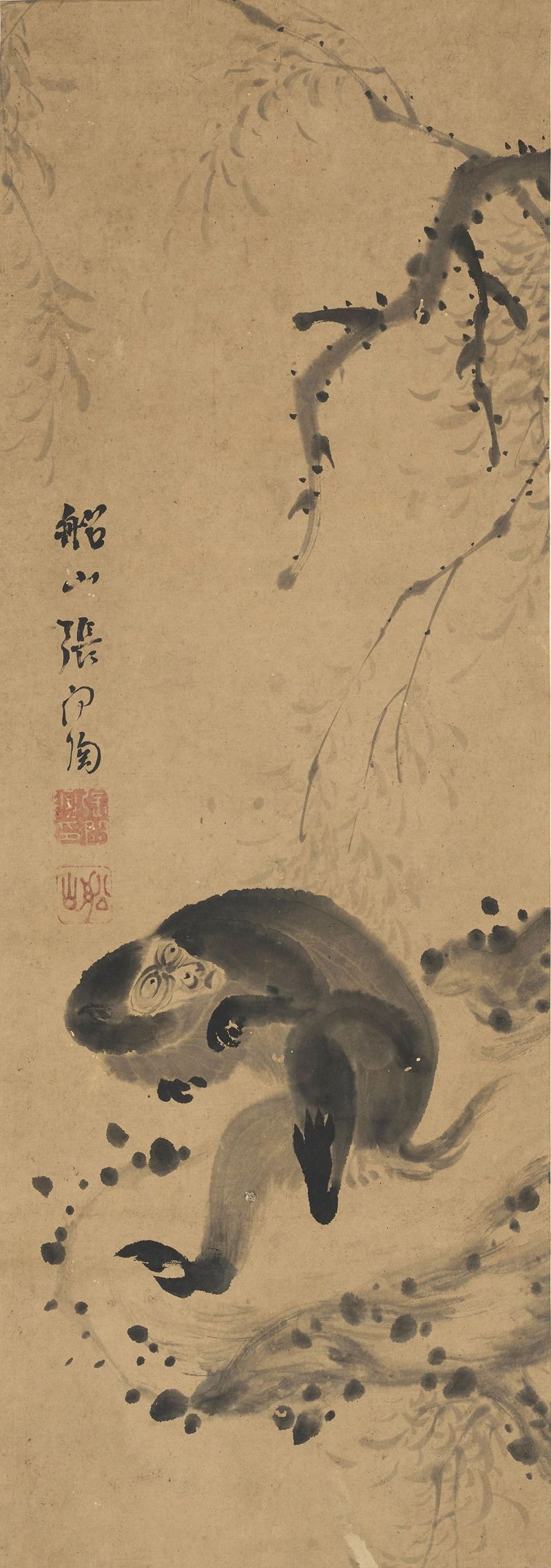 1768563837192463.jpg 11.jpg