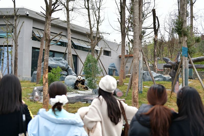 1773971847786196.jpg 4.jpg