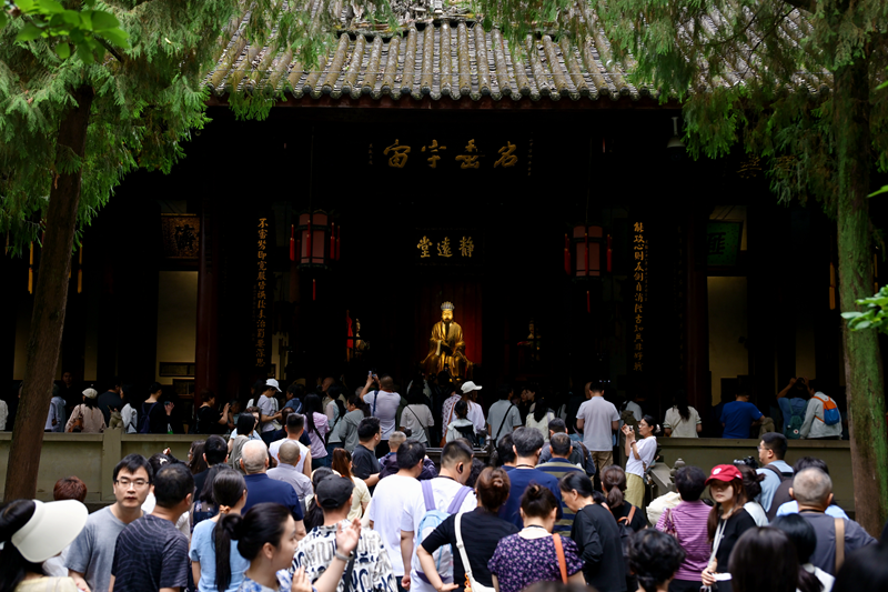 1779091460541756.png 国际博物馆日人气旺.png