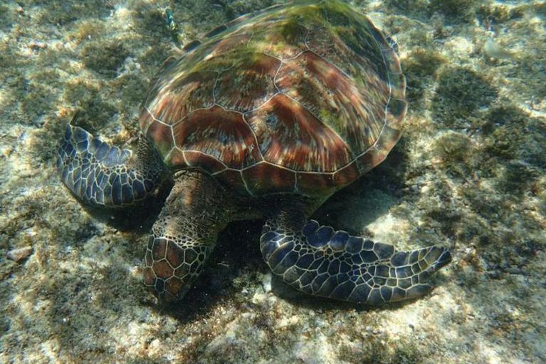 一場海島狂歡盛宴 絕美無比的亞洲海島