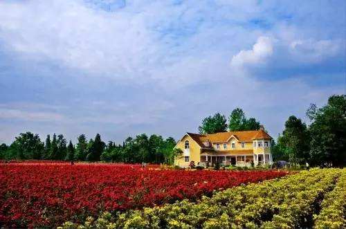 生態花園 康養小鎮——成都市郫都區花園鎮
