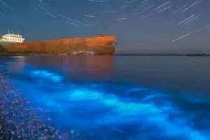 去大陳島 探秘一片神秘熒光海