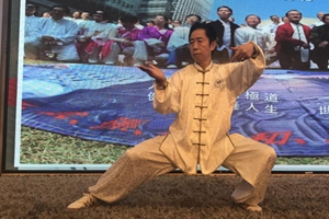 沙田太極匯演集各家精華