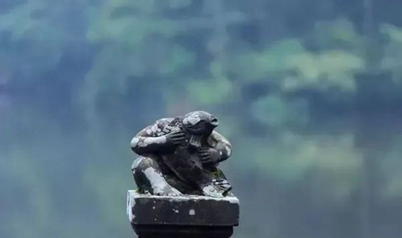 1663031446730618.jpg