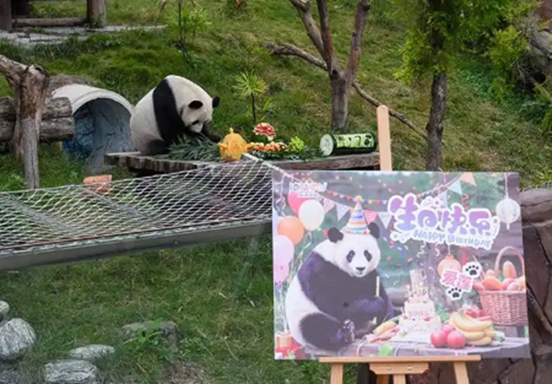 微信图片_20261021145756_771_2.png